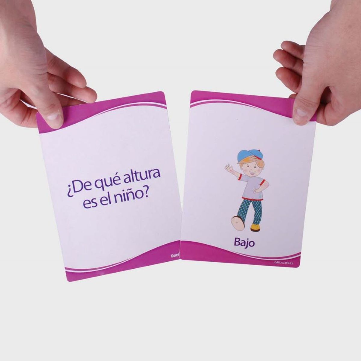 DACTIC - Láminas Conceptos Dactic