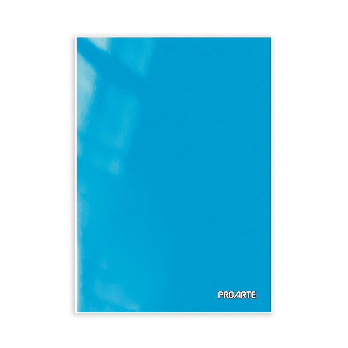 PROARTE - CARPETA PROARTECELESTE CON GUSANO