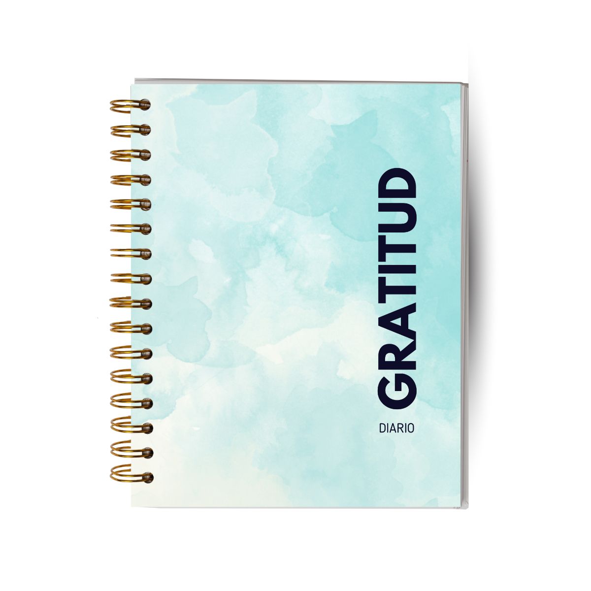 GENERICO - Diario De Gratitud - 90 Días - Diseño Neutro Celeste