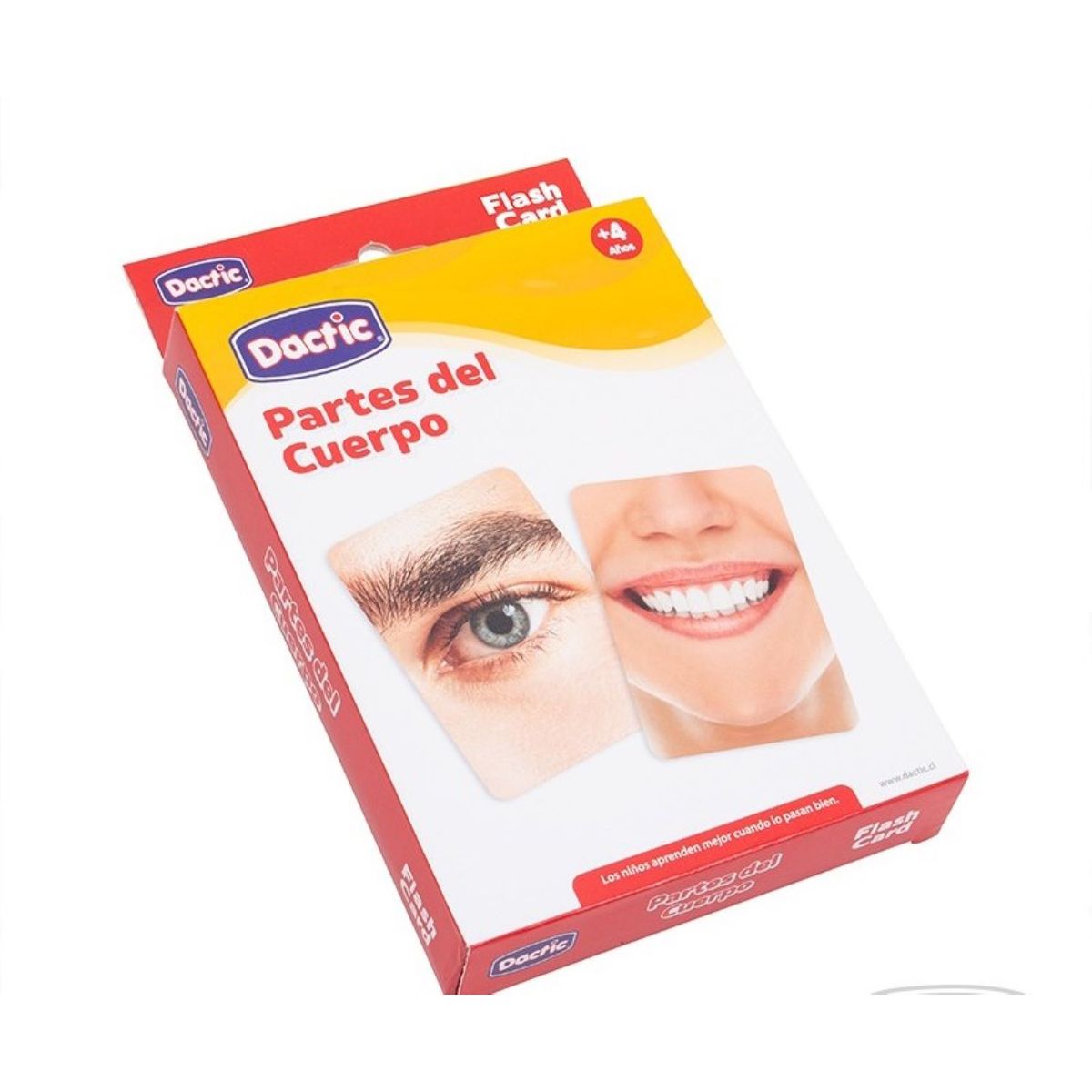 DACTIC - Lámina Partes del Cuerpo