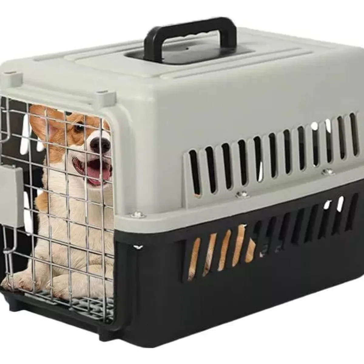 SHOP EHOME BAG - Jaula Transporte Para Mascotas- M