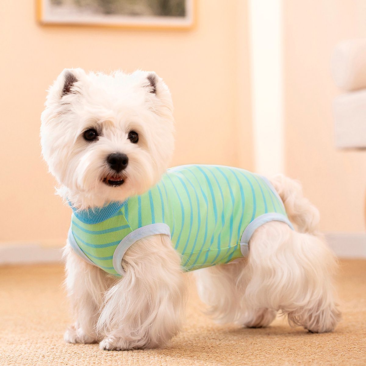 GENERICO - Fajas Body Postoperatorios Verdes y Azules Con Cremallera Talla M