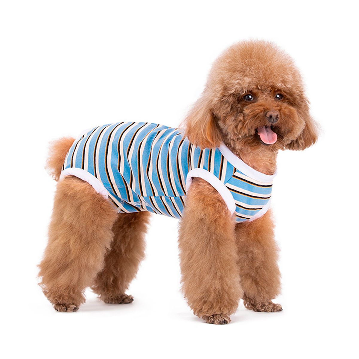 GENERICO - Traje Derecuperación Quirúrgica Azul Y Blanco Para Perros Talla XS