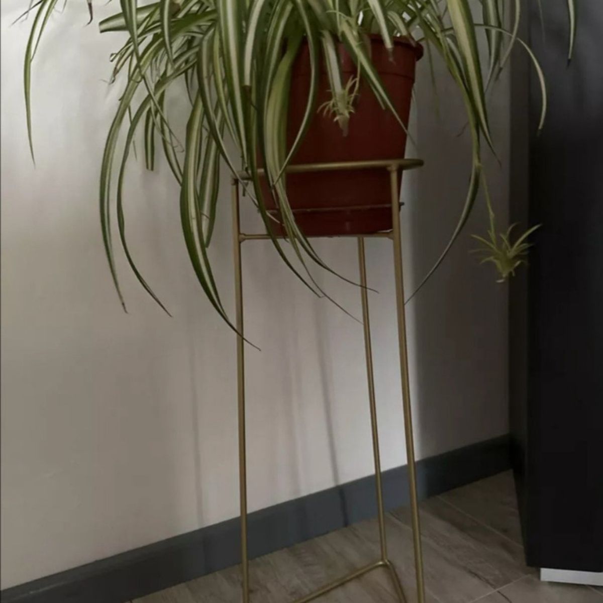 GENERICO - SOPORTE PARA MACETAS 60 CM COLOR DORADO MATE