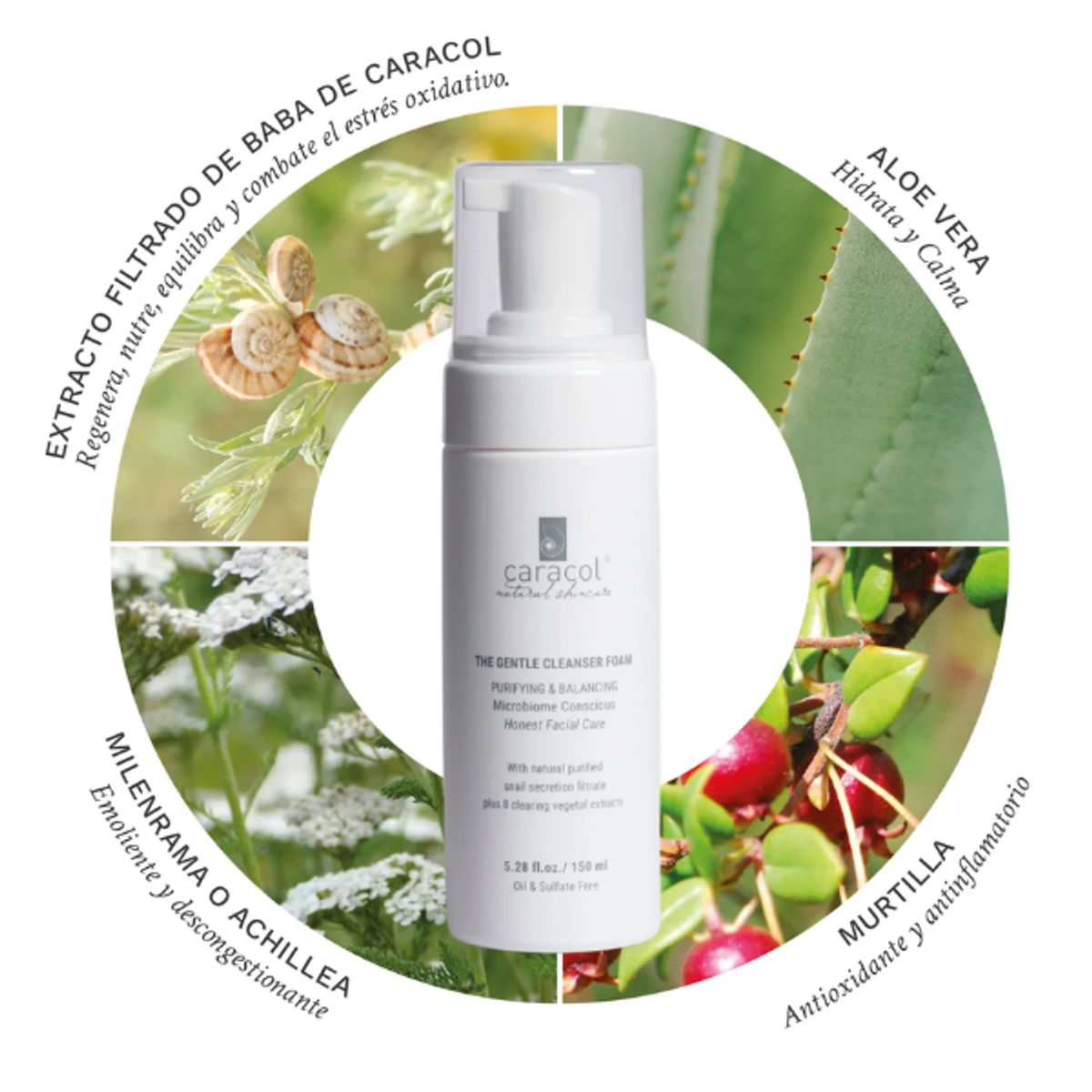 CARACOL NATURAL SKINCARE - Gel Crema Regeneración + Mousse de Limpieza Facial Caracol Natural