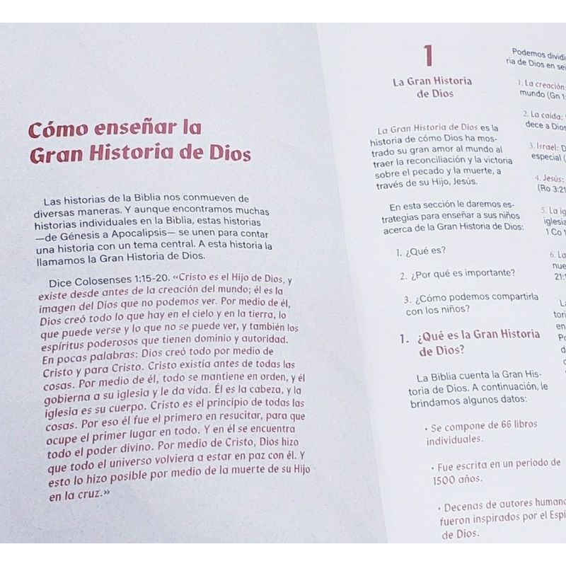 SOCIEDADES BIBLICAS UNIDAS - Biblia De Estudio T Lenguaje Actual Familias Saludables
