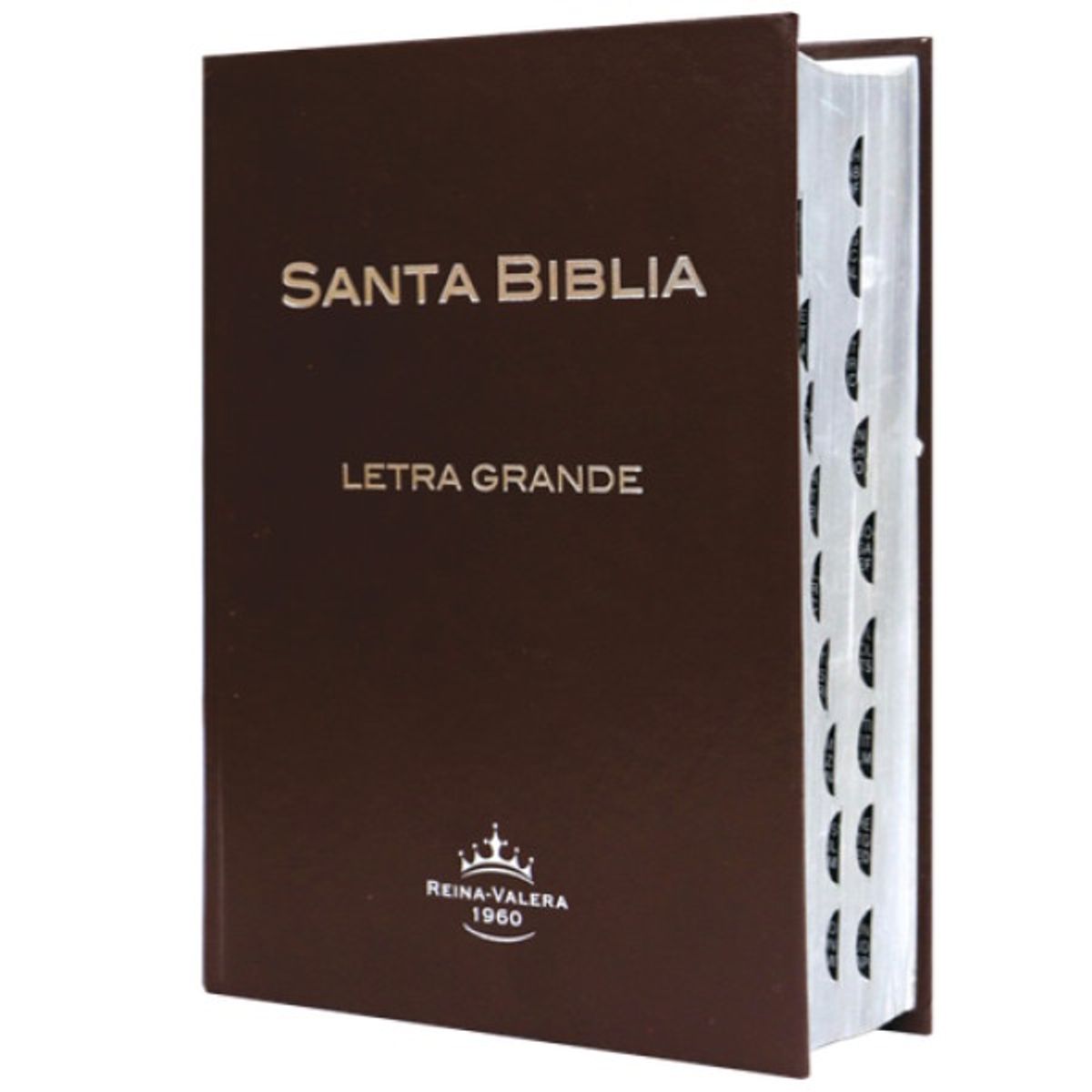 SOCIEDAD BIBLICA CHILENA - Biblia Letra Grande Reina Valera 1960 Indice Tapa Dura