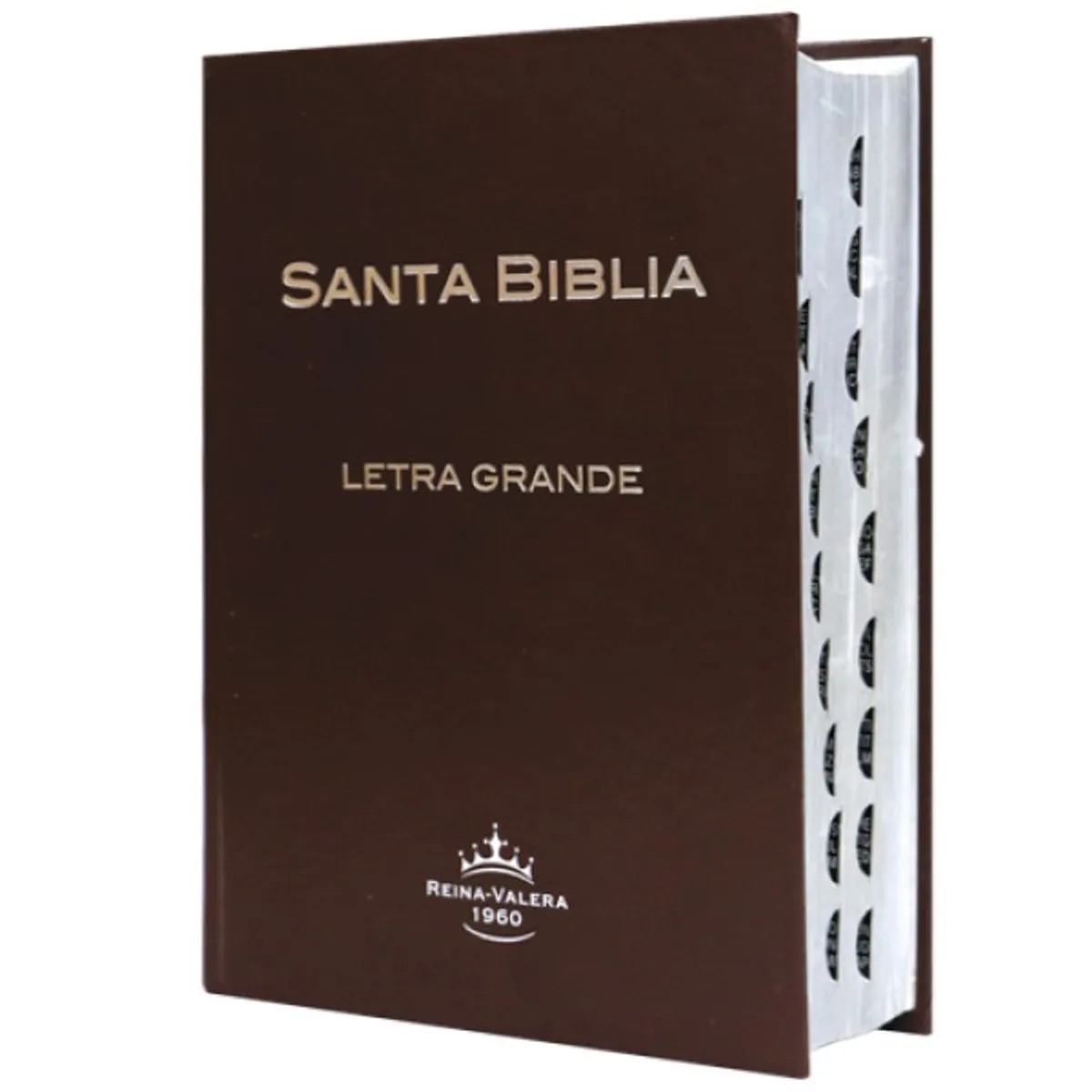 SOCIEDAD BIBLICA CHILENA - Biblia Letra Grande Reina Valera 1960 Indice Tapa Dura