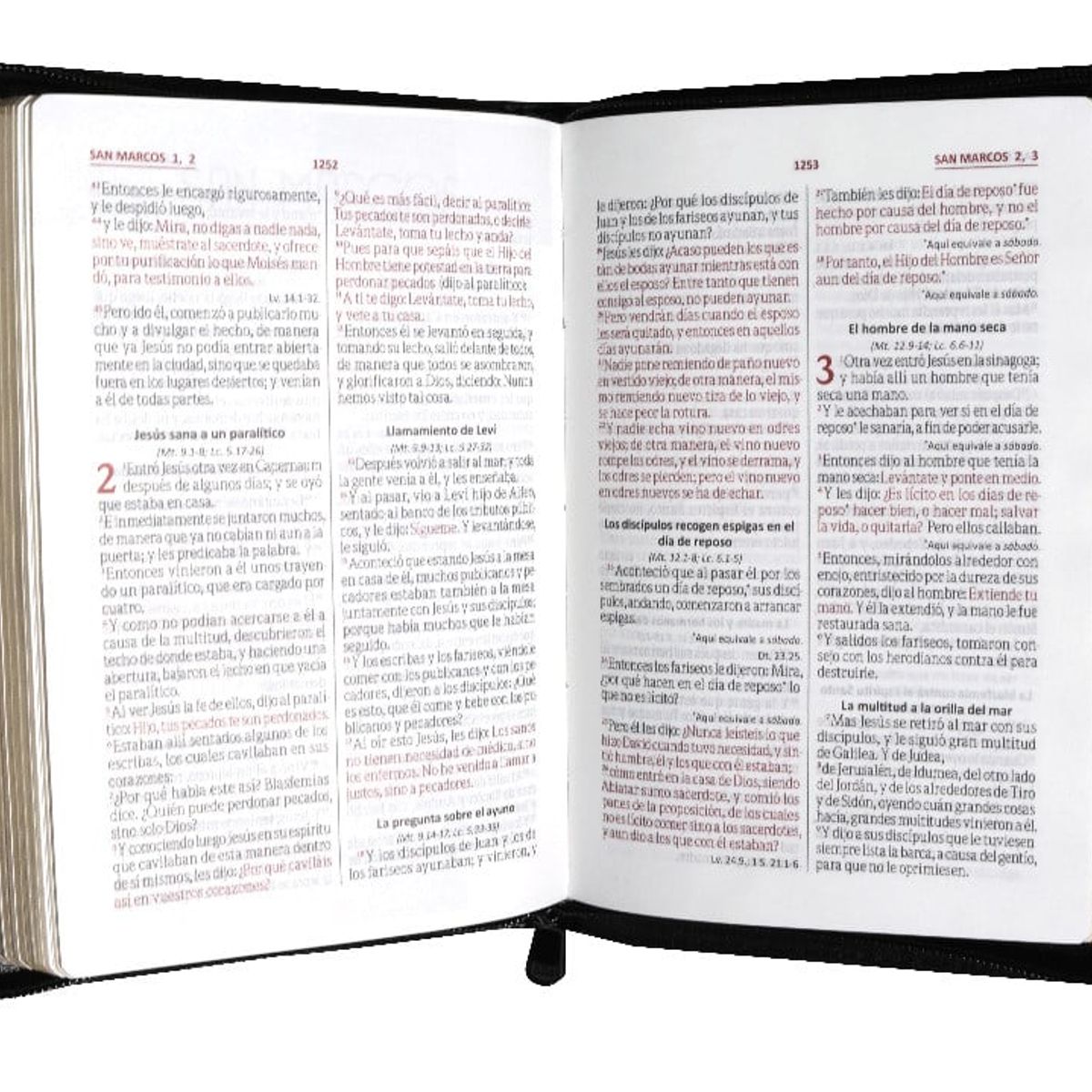 SOCIEDADES BIBLICAS UNIDAS - Biblia Reina Valera 1960 Letra Grande Cierre Concordancia color vino