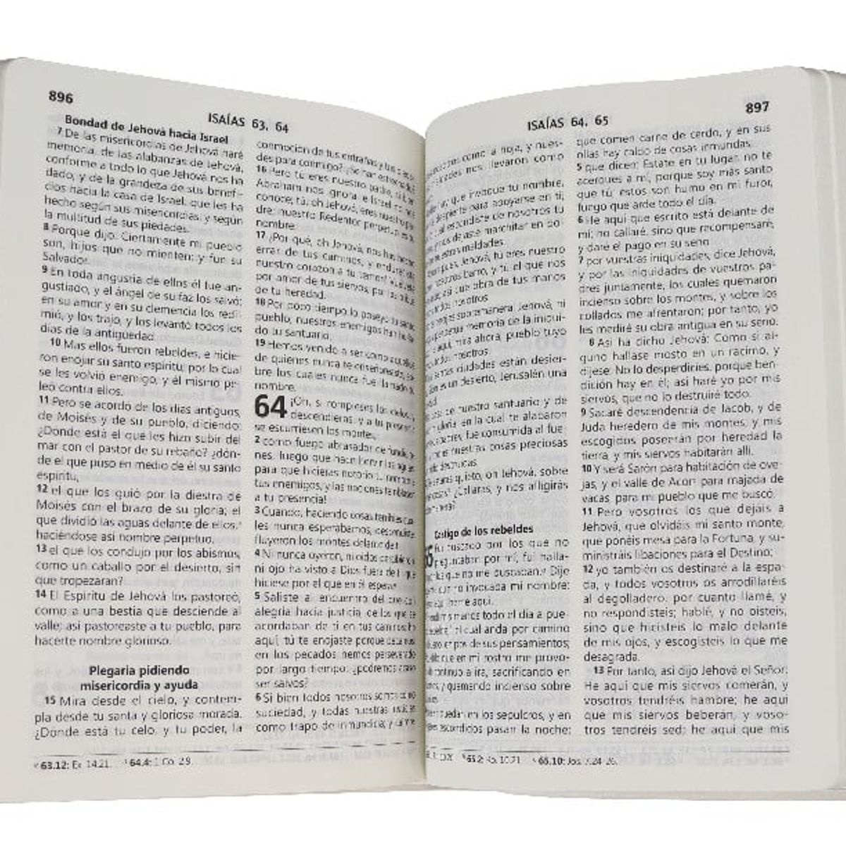 SOCIEDADES BIBLICAS UNIDAS - Biblia Reina Valera 1960 Compacta Letra 9 puntos Vinil Violeta Flores