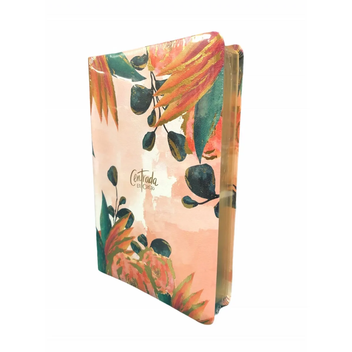 BROADMAN & HOLMAN PUBLISHERS - Biblia Devocional Reina Valera 1960 Centrada en Cristo