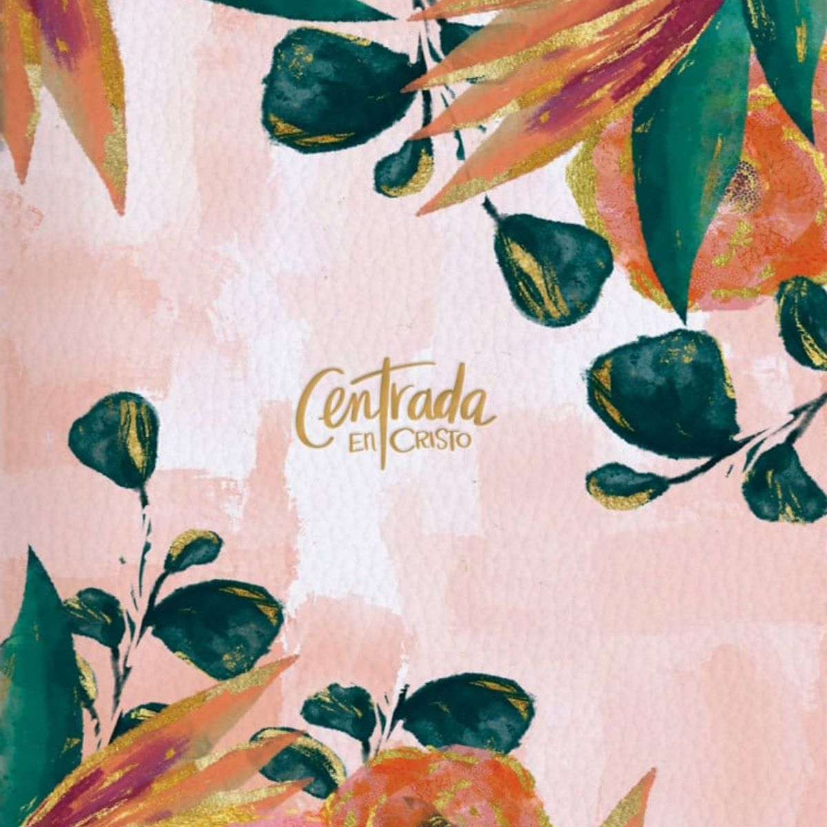 BROADMAN & HOLMAN PUBLISHERS - Biblia Devocional Reina Valera 1960 Centrada en Cristo