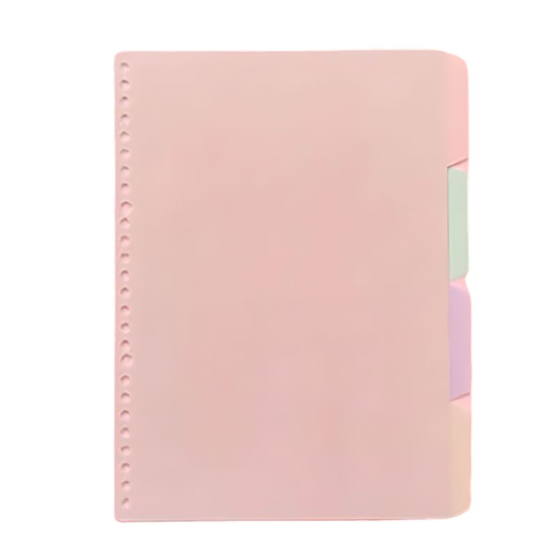 GENERICO - Separadores Para Libretas B5 Sistema Refill Languo