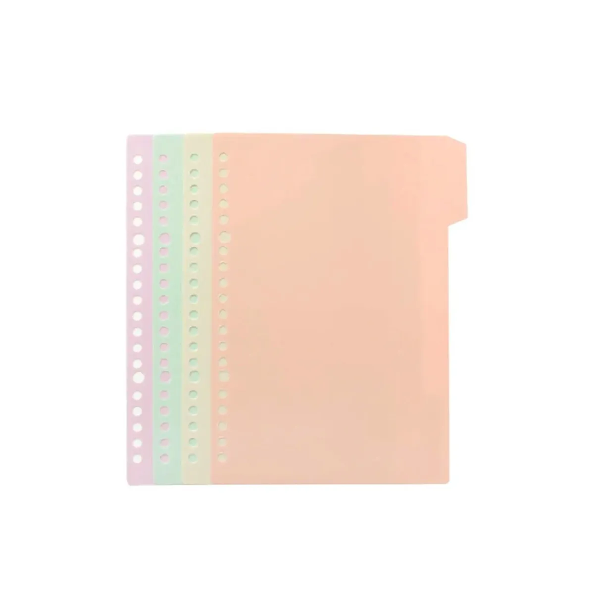 GENERICO - Separadores Para Libretas B5 Sistema Refill Languo