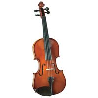Violin Novice Outfit 4/4 SV-50