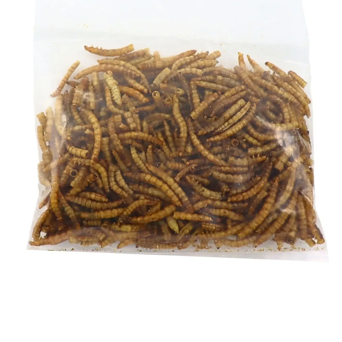 GENERICO - Tenebrio Deshidratado Alimento Para Erizo Tortuga Hamter 20g