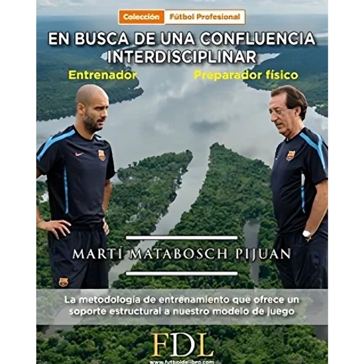TOP10BOOKS - LIBRO En Busca De Una Confluencia Interdisciplinar