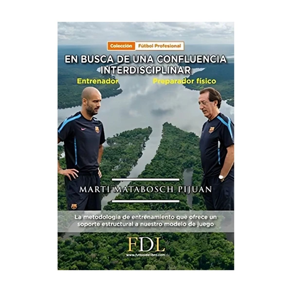 TOP10BOOKS - LIBRO En Busca De Una Confluencia Interdisciplinar