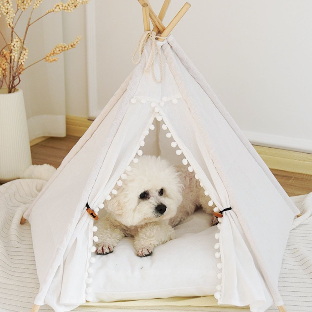 HOMER OUTDOOR - Perro Gato Tienda Casa Cama De Mascota Casita Homer  Outdoor