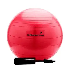 BLUNDING - Balón De Ejercicios 55 Cm