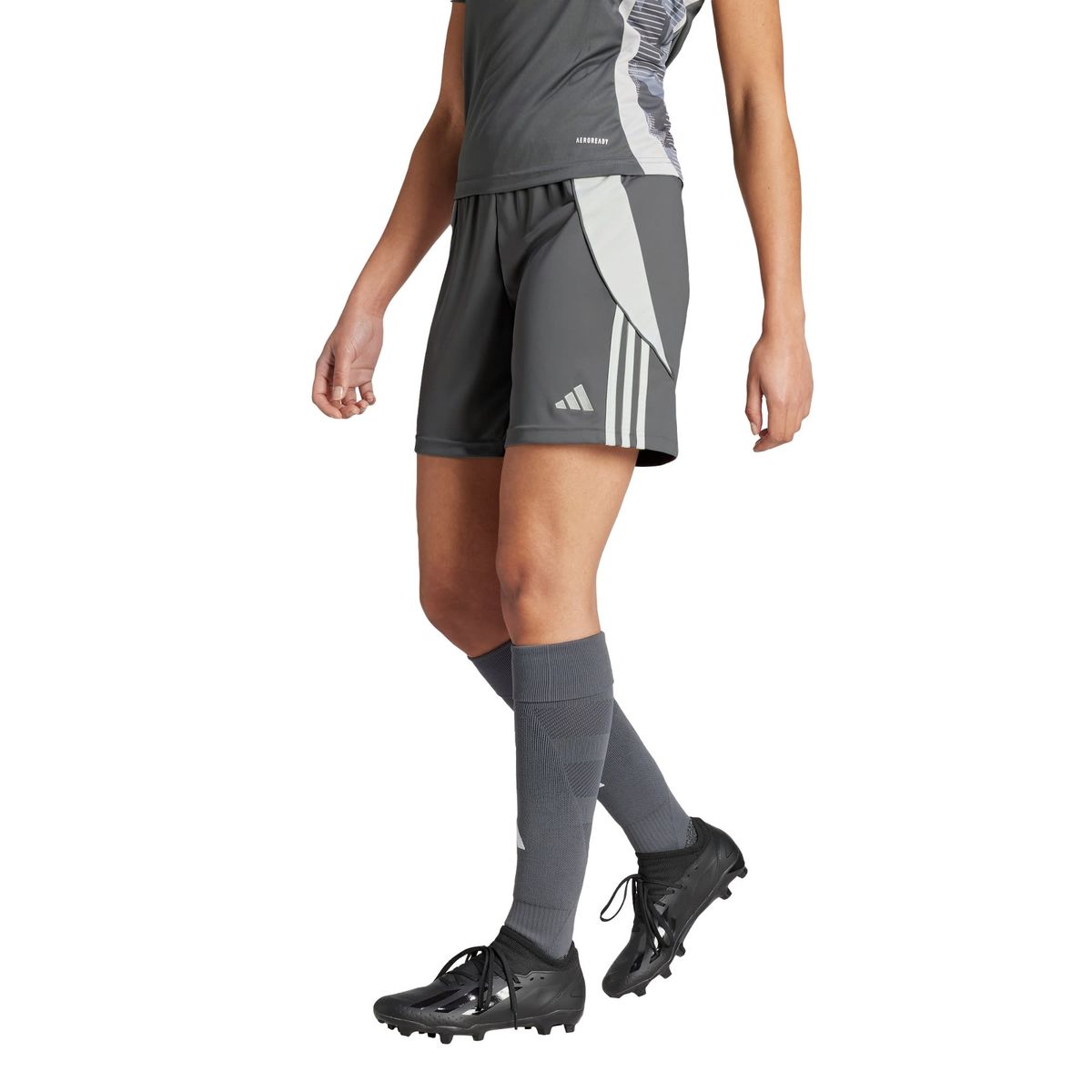 ADIDAS - Shorts Tiro 24