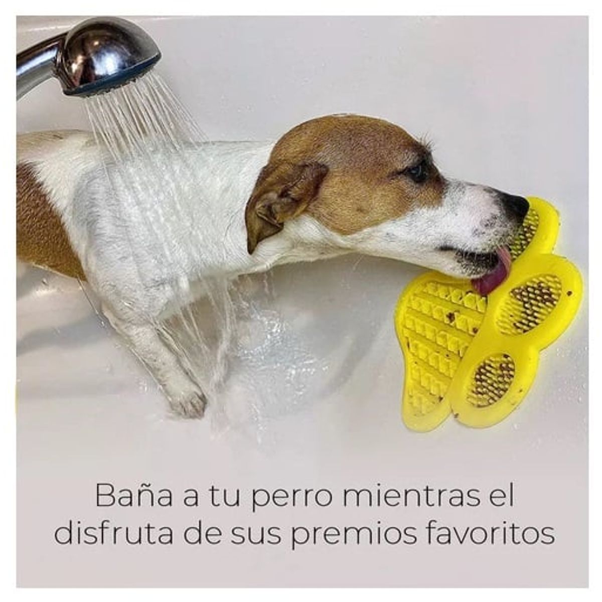 COLOR LAB - Lickmat forma de huella COLOR LAB