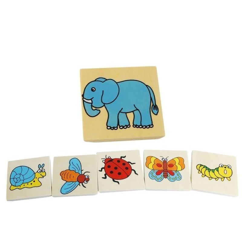 DACTIC - ¡Asocia Figuras -Tablero