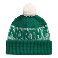 Gorro Retro Cabin Unisex Adulto Verde