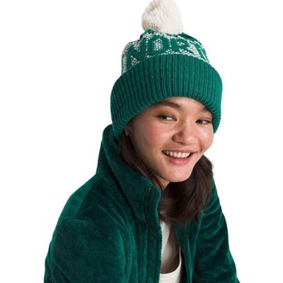 Imagen 2 del producto Gorro Retro Cabin Unisex Adulto Verde