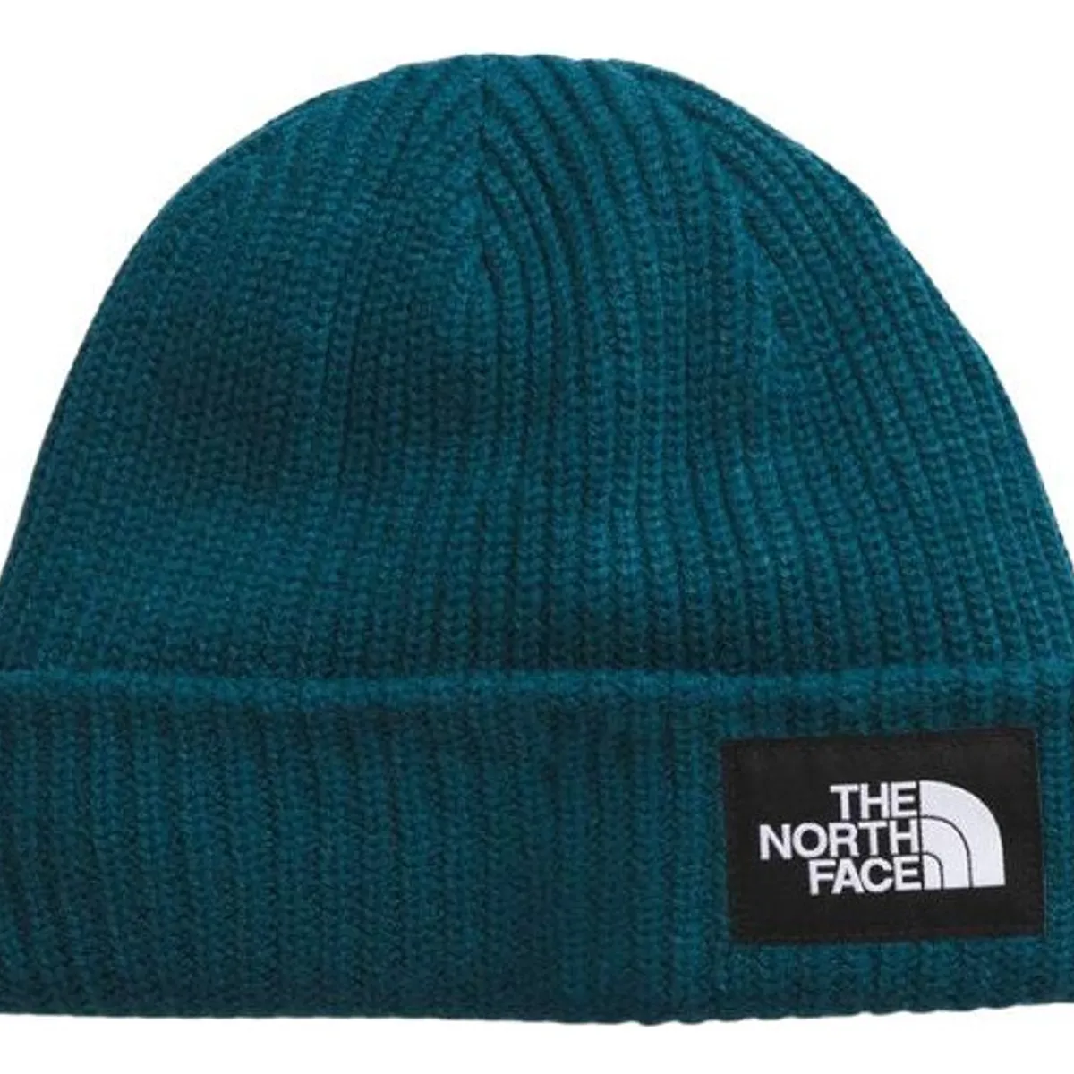 THE NORTH FACE - Gorro Salty Dog Unisex Adulto Azul