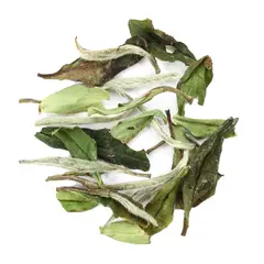 ADAGIO TEAS - Té Blanco Bai Mu Dan 28 grs