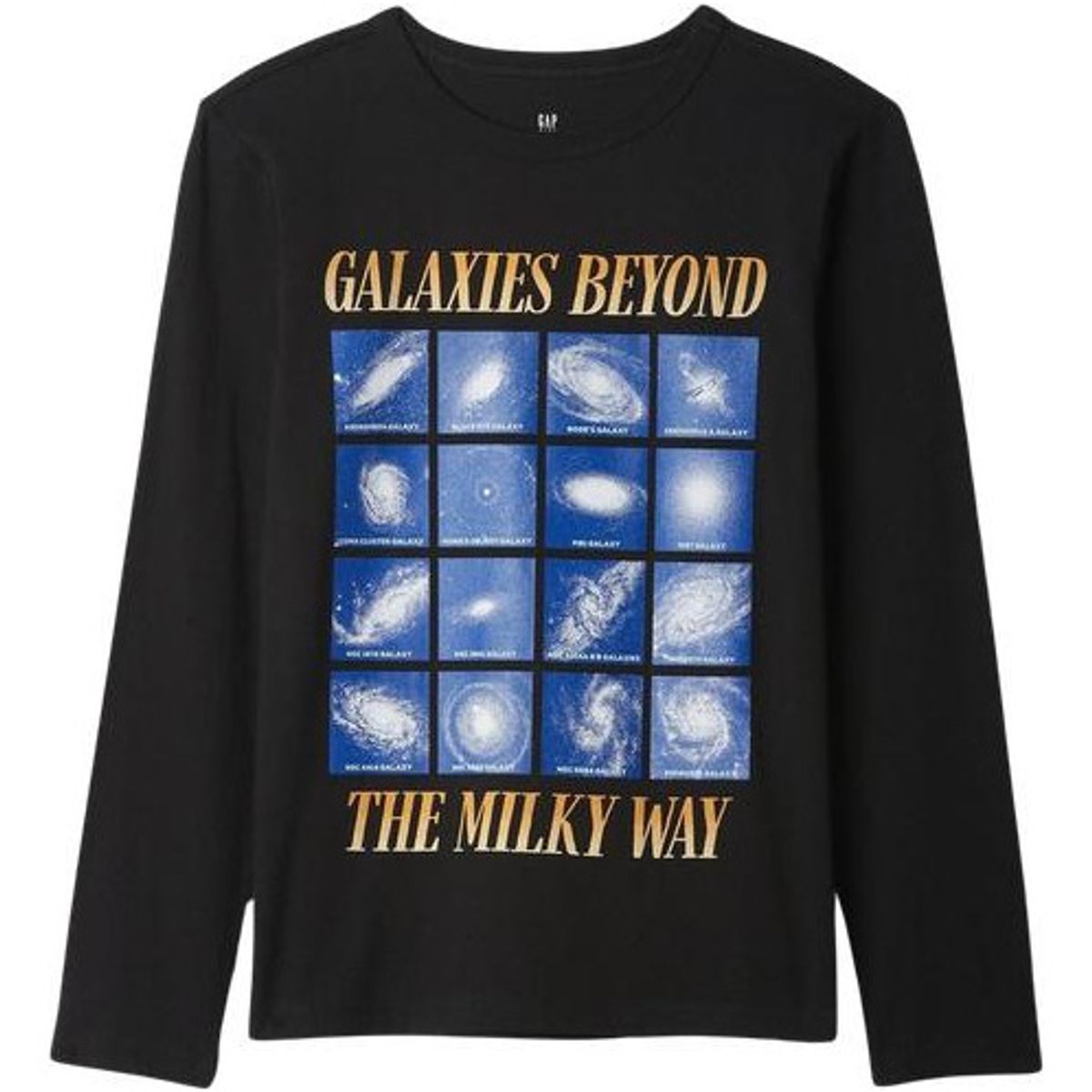 GAP - Polera Logo Manga Larga Hombre Negro