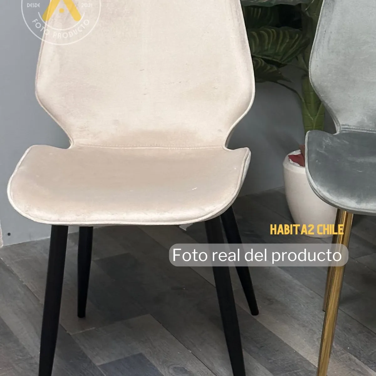 HABITA2 CHILE - Silla Comedor Felpa Gabriel - Beige