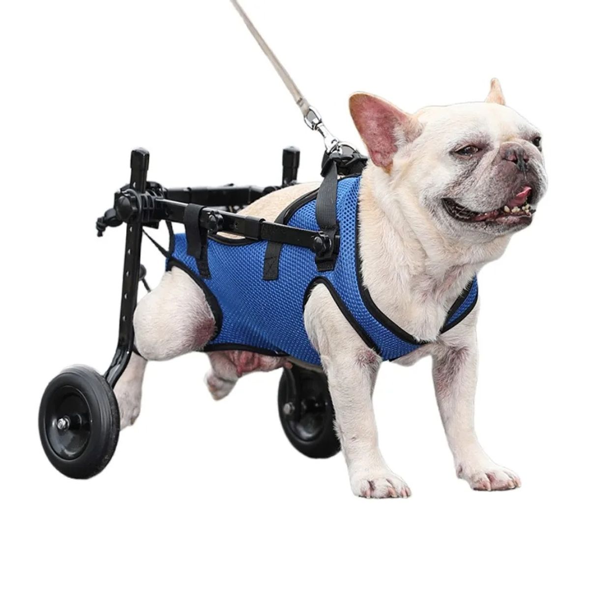 GENERICO - silla de rueda de perro talla M