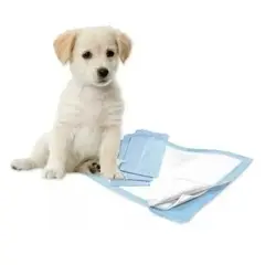 HOMER OUTDOOR - 100 Pañales Sabanillas Perro Gato Mascotas 40x55cm
