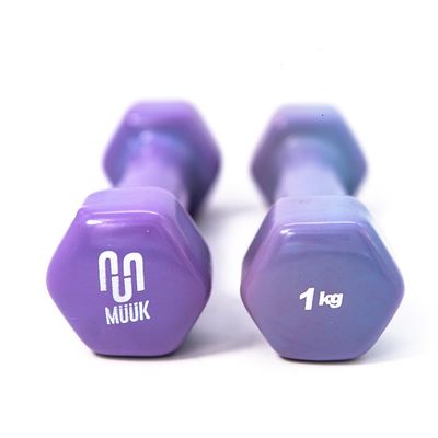 Imagen 2 del producto Mancuerna Pvc 2 X 1 Kg