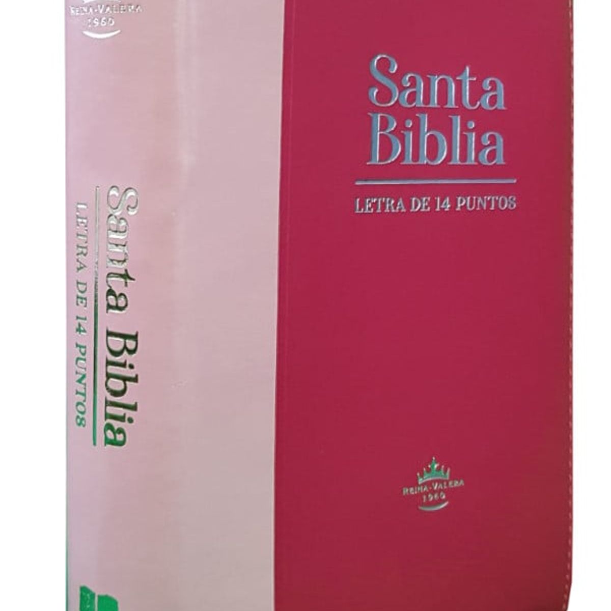 SOCIEDADES BIBLICAS UNIDAS - Biblia Reina Valera 1960 Letra Gigante económica Con Cierre rosado bicolor
