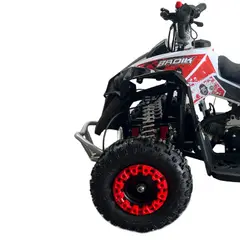 GENERICO - Cuatrimoto 50CC BADIK D8