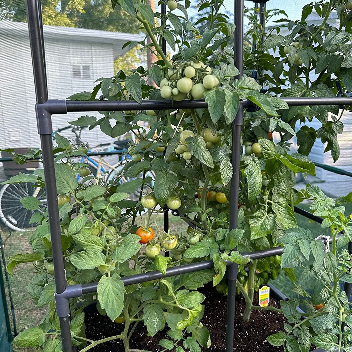 TREETOP - Huerto mediano grafito 40x60x150 cm