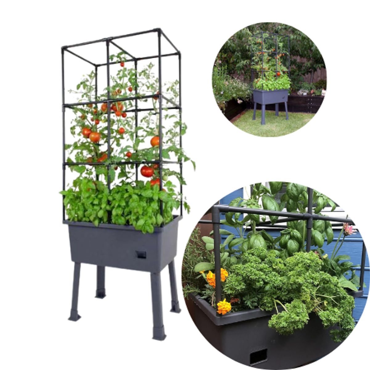 TREETOP - Huerto mediano grafito 40x60x150 cm