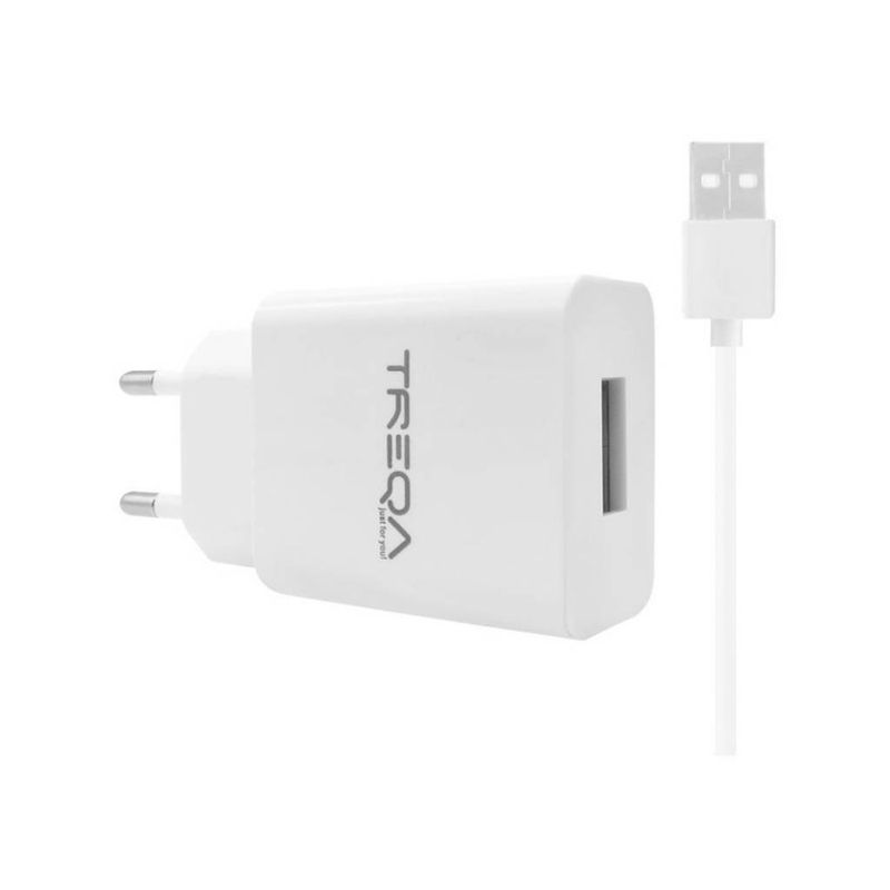 GENERICO - CARGADOR CARGA RAPIDA USB-C TREQA 31A