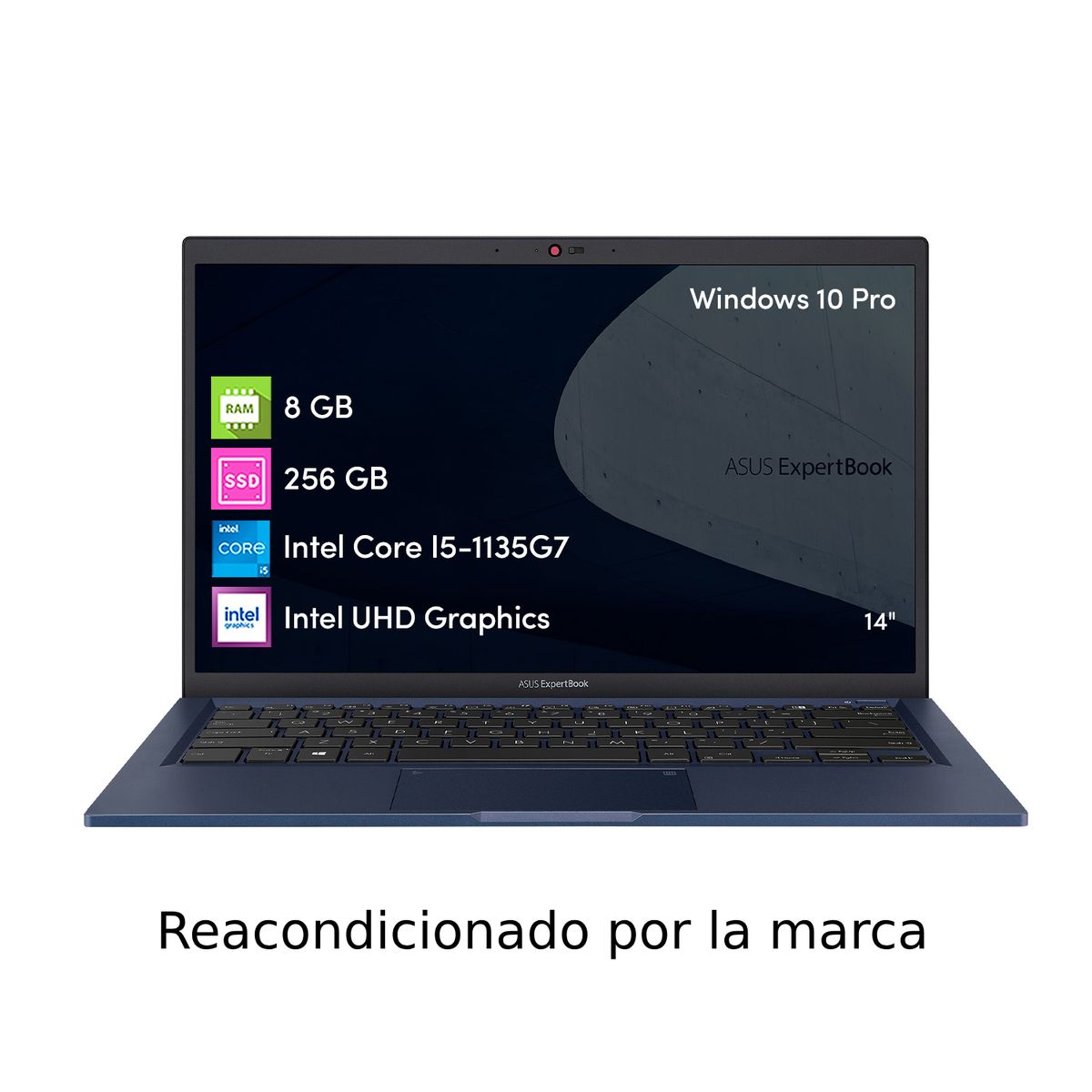 ASUS - Notebook Asus Expertbook Core i5 8GB 256SSD W10P 14