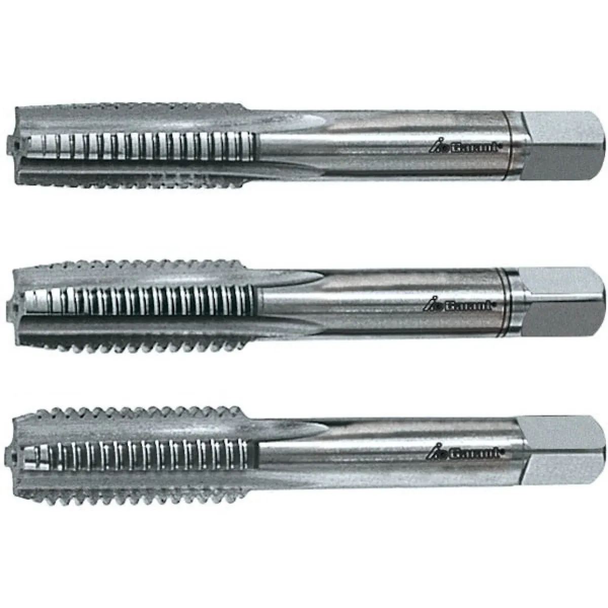 TOTEM - JGO MACHOS 8 MM X 125