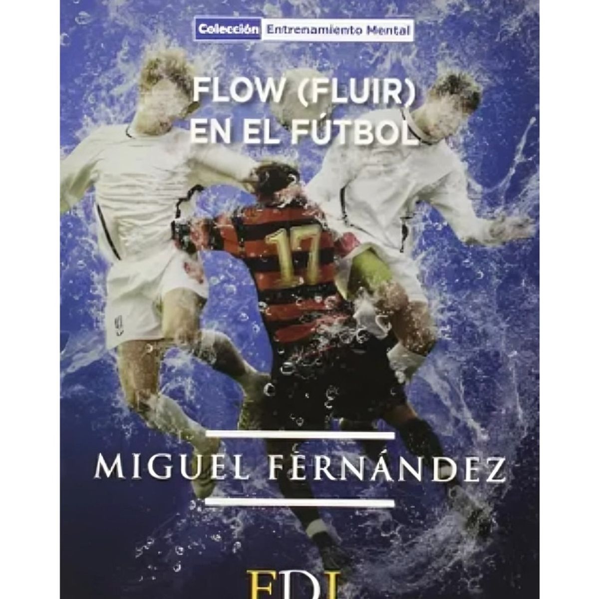 TOP10BOOKS - LIBRO Flow Fluir En El Futbol - Flow Fluir En El Futbol