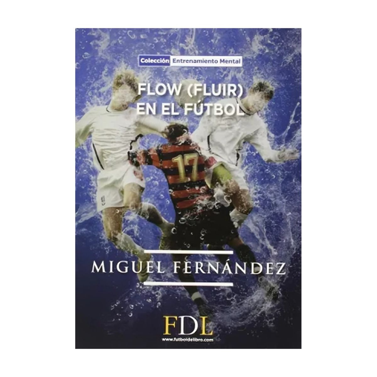 TOP10BOOKS - LIBRO Flow Fluir En El Futbol - Flow Fluir En El Futbol