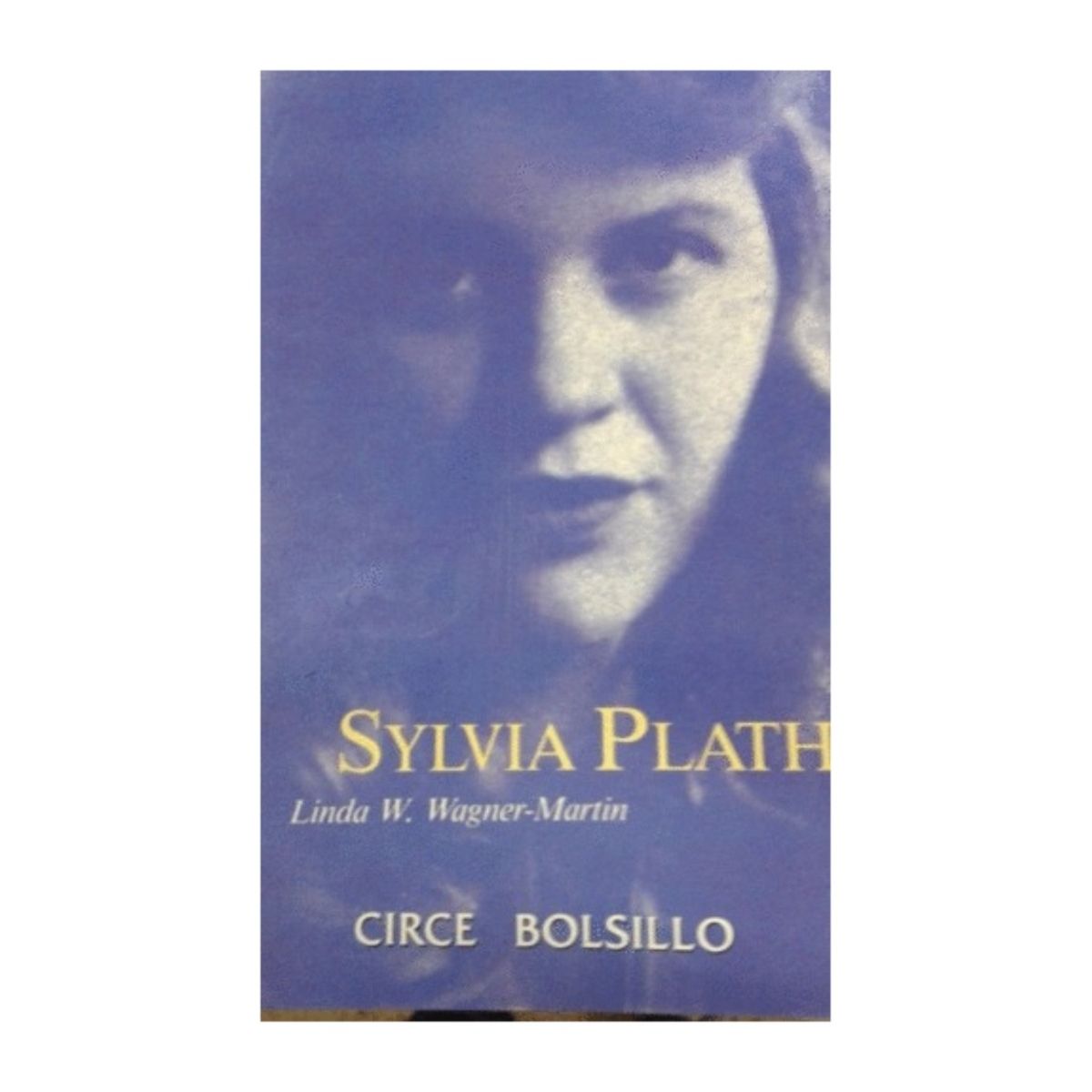 TOP10BOOKS - LIBRO Sylvia Plath (bolsillo) - Sylvia Plath (Bolsillo)