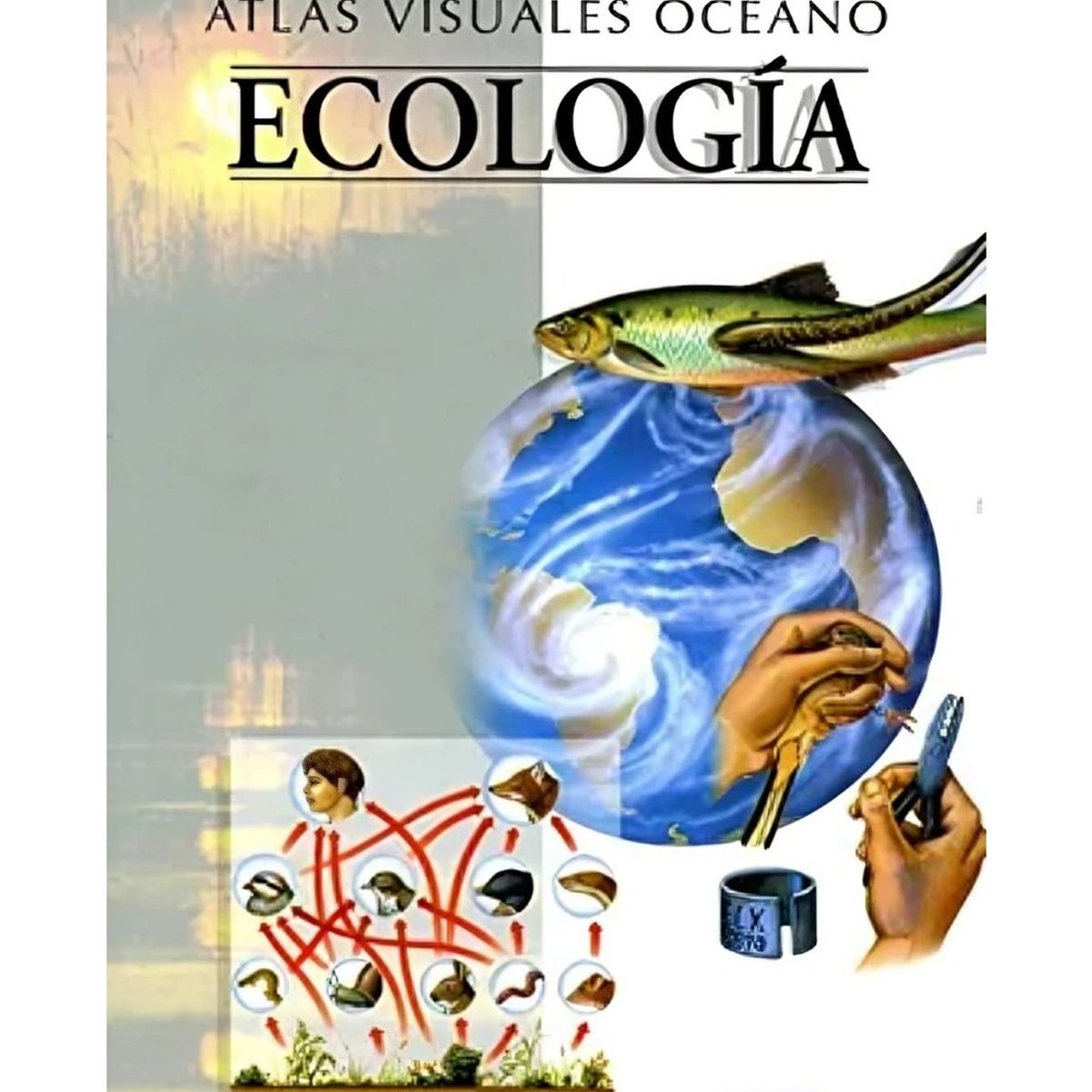 TOP10BOOKS - LIBRO Ecología (atlas Visual) - Ecología (Atlas Visual)