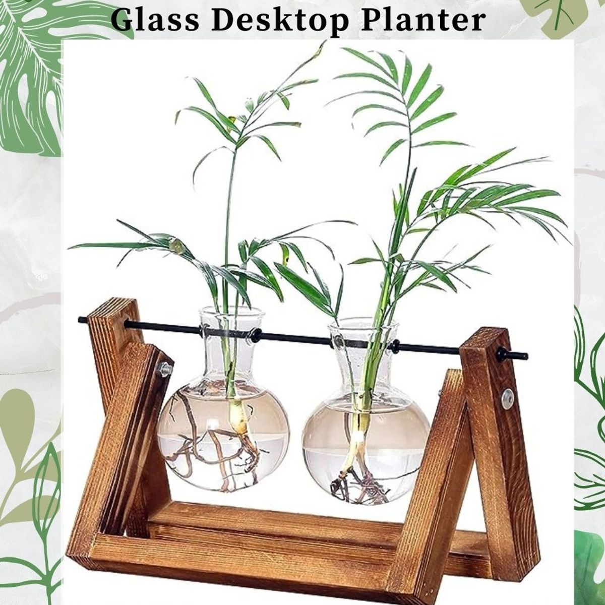 TATEE - floreros Jarrón hidropónico Jarrón de cristal planta Marco de madera