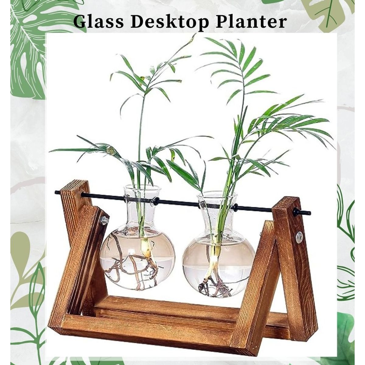 TATEE - floreros Jarrón hidropónico Jarrón de cristal planta Marco de madera