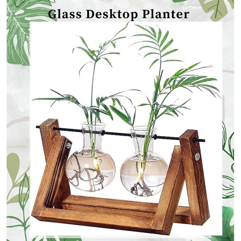 TATEE - floreros Jarrón hidropónico Jarrón de cristal planta Marco de madera